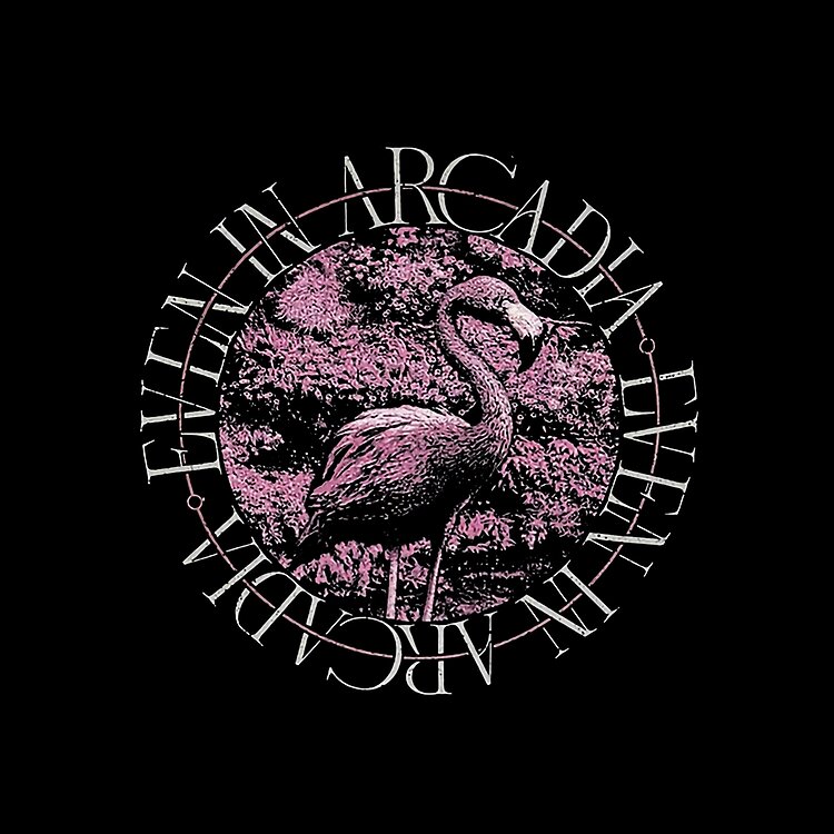 Even In Arcadia Flamingo Circular Merch Graphic Tote Bag - Image 2